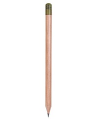 مداد حاوی بذر